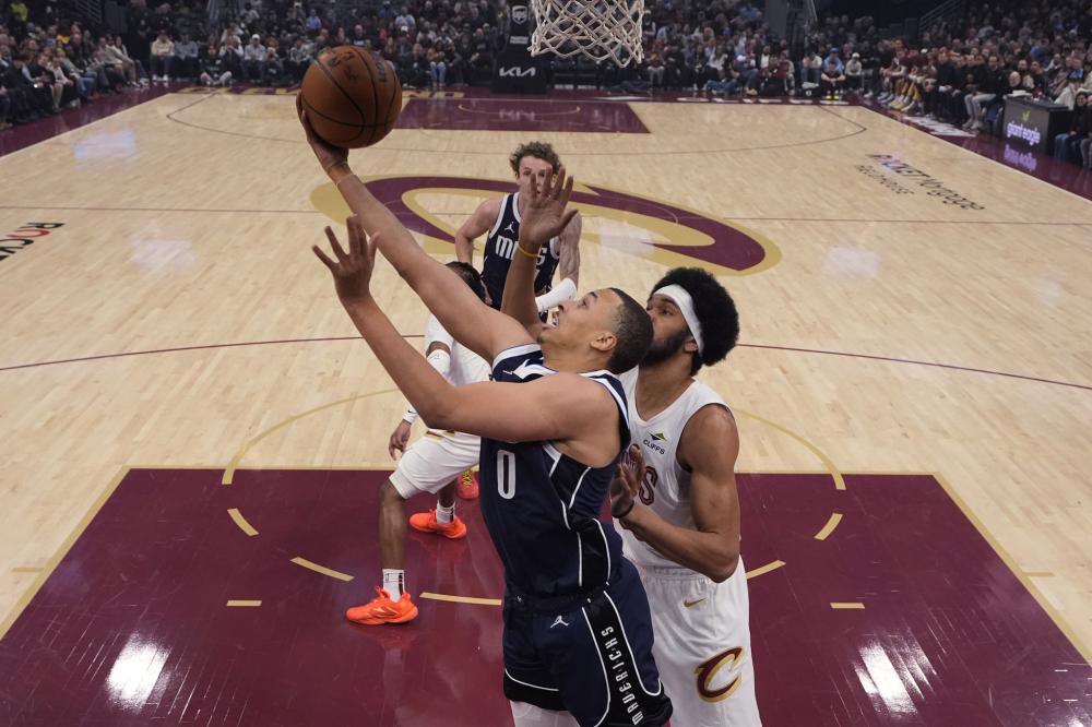 拥有更新鲜 拥有更新鲜