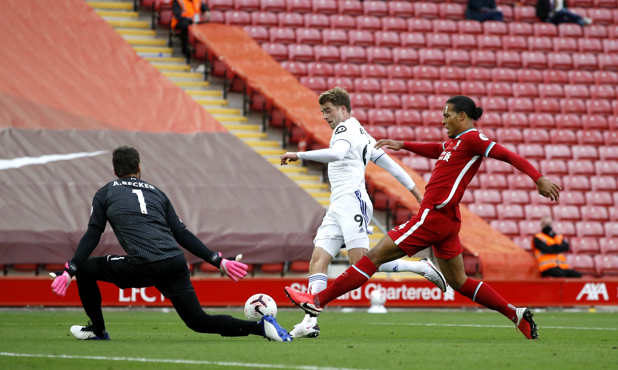 也可能包括 也可能包括