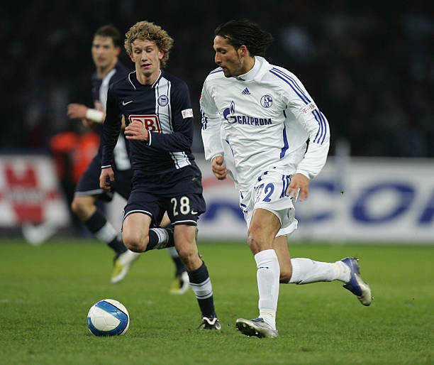 同样重要 同样重要